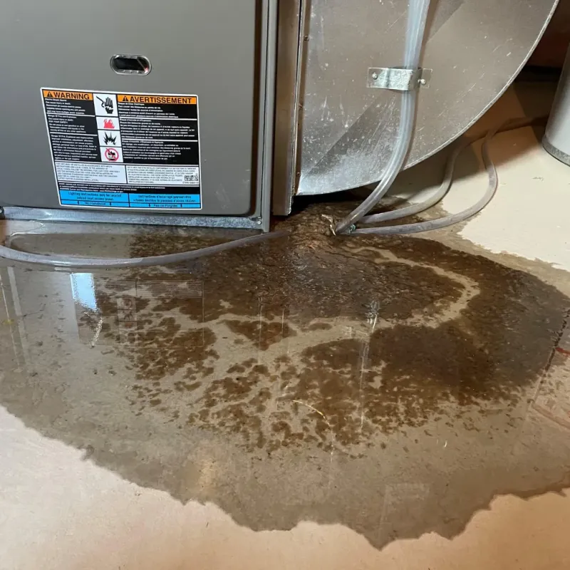 Appliance Leak Cleanup in Edgard, LA